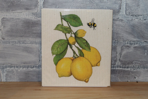 Sponge Cloth