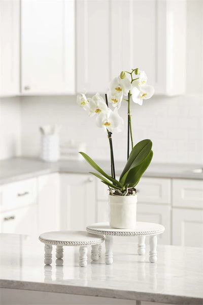 Beaded Pedestal - White