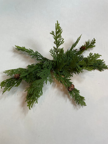 Stem - Cypress