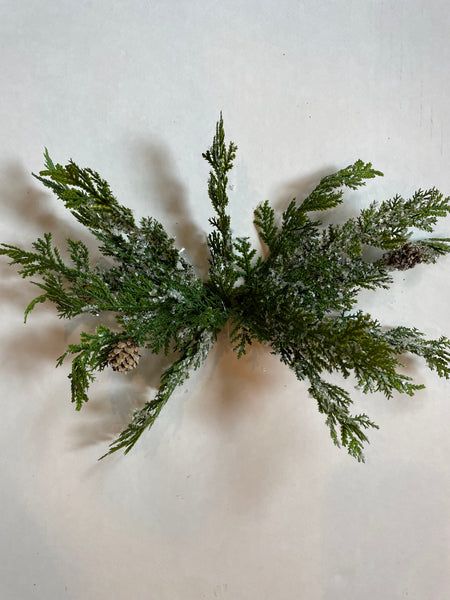 Stem - Cypress w/Snow