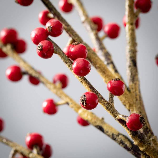 Stem - Cheerful Red Berry