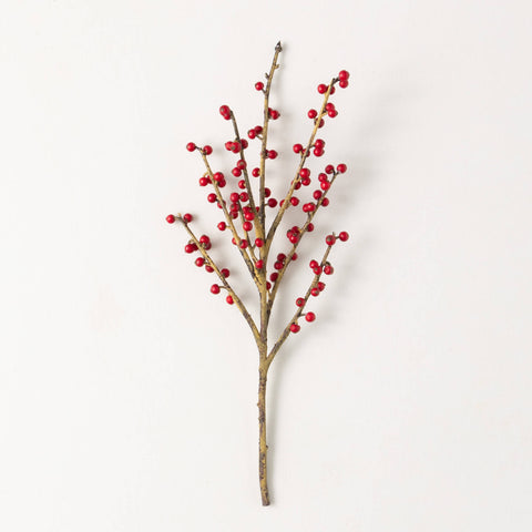 Stem - Cheerful Red Berry