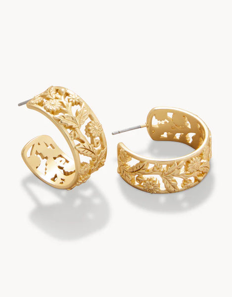 Earrings - Vine Hoop - Gold