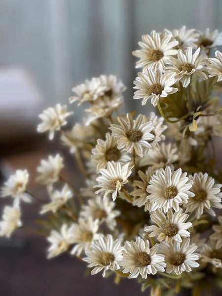 Stem - Daisy - Ecru