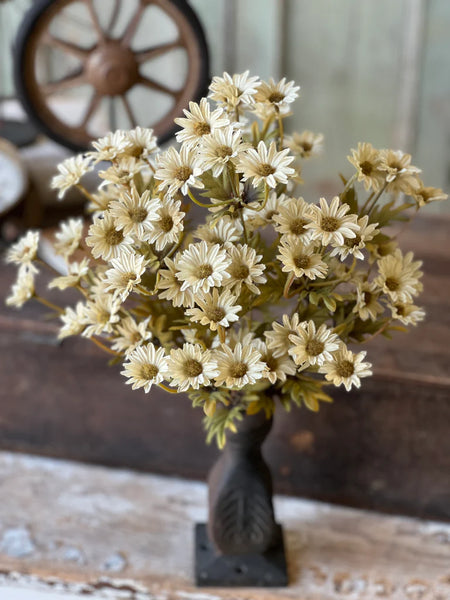 Stem - Daisy - Ecru
