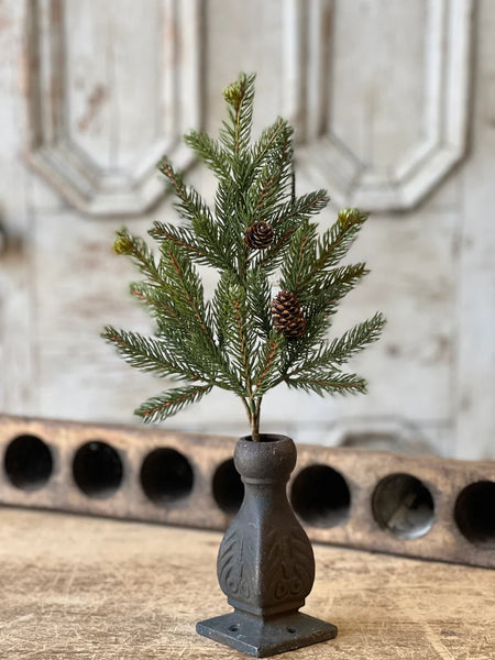Stem - White Spruce