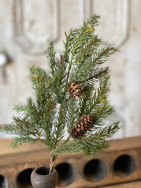 Stem - White Spruce