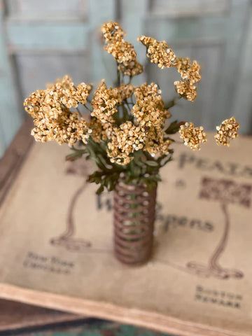 Stem - Fennel Flower Bundle / Mustard
