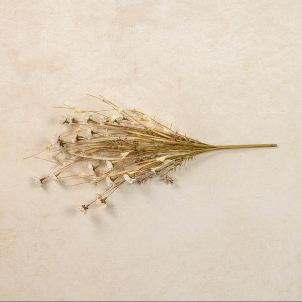 Stem - 22" Cream Mini Daisy & Wild Grass Bush