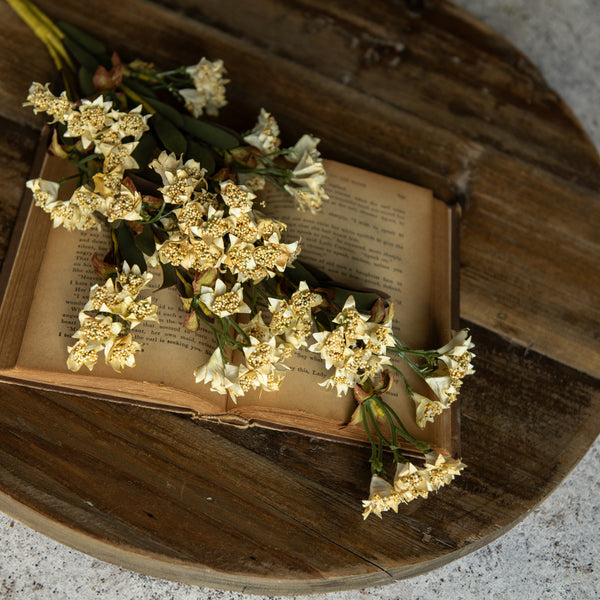 Stem - 30" Beige & Cream Wild Flower Spray