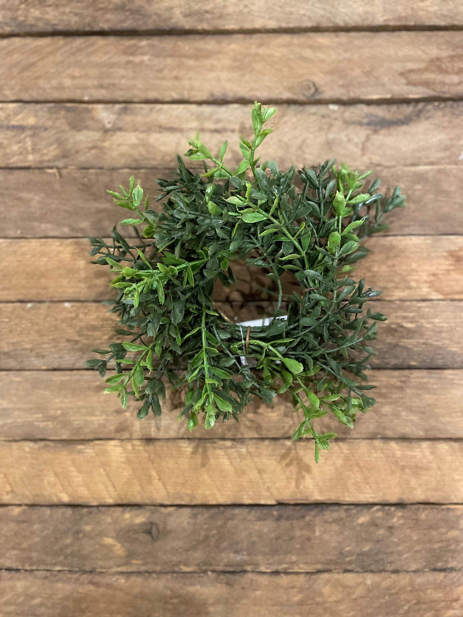 Candle Ring/Wreath - Boxwood