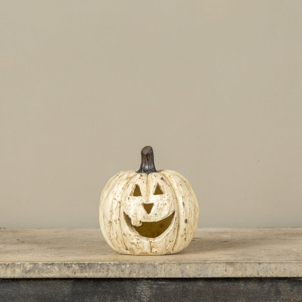 Pumpkin - White
