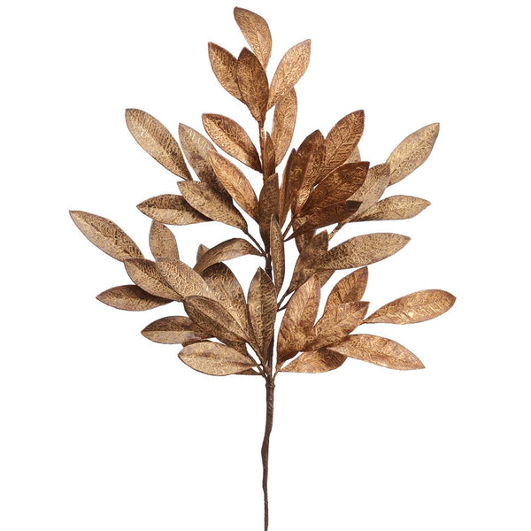 Stem - Bay Leaf
