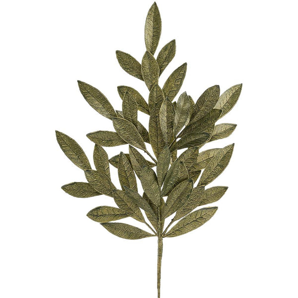 Stem - Bay Leaf