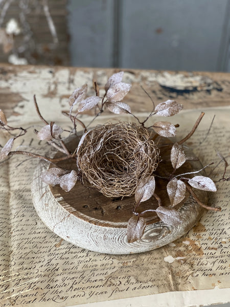 Stem - Icy Barren Nest & Leaves