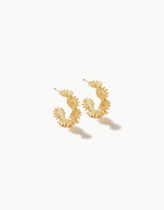 Earrings - Daisy Hoop Gold