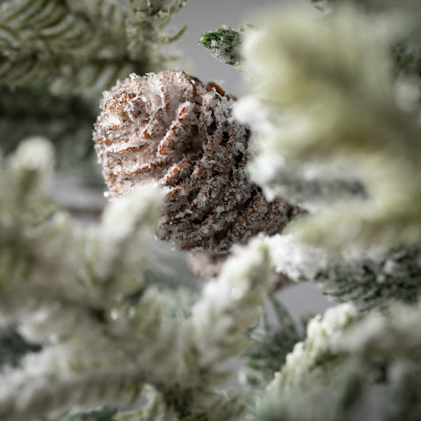 Stem - Frosted Pine