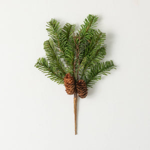 Stem - Pine