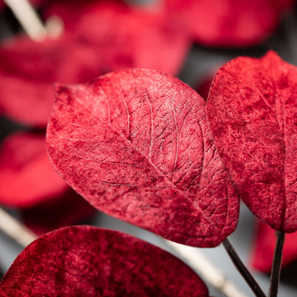 Stem - Vivid Red Leaf