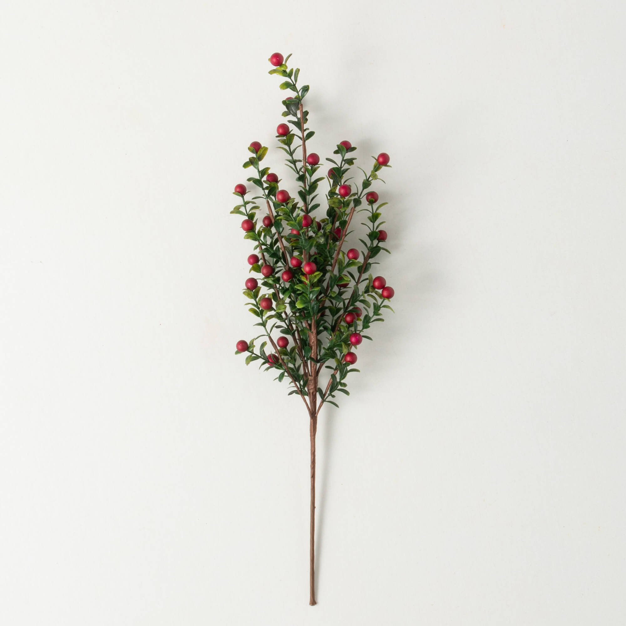 Stem - Boxwood Berry