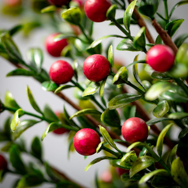 Stem - Boxwood Berry