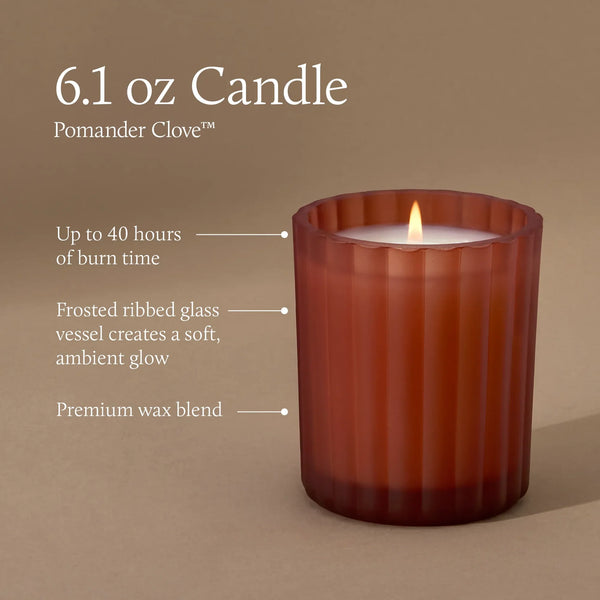 Pomander Clove - Boxed Candle