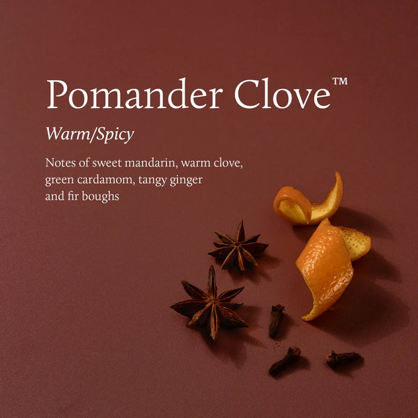 Pomander Clove - 3 Wick Candle