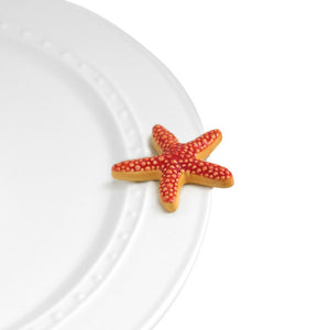 Mini - Sea Star - Starfish