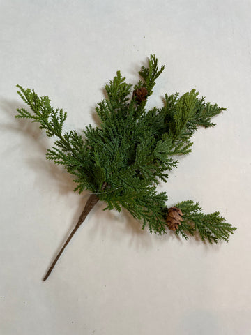 Stem - Cypress