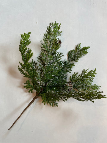 Stem - Cypress w/Snow