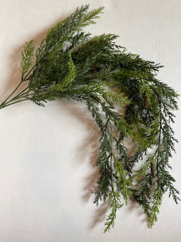 Stem - Hanging Pine